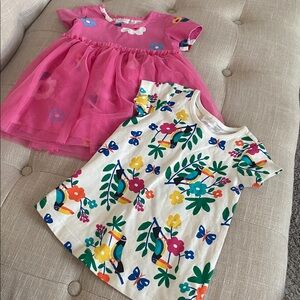 Hanna Andersson Pink Tulle Dress and Floral Print Dress Set